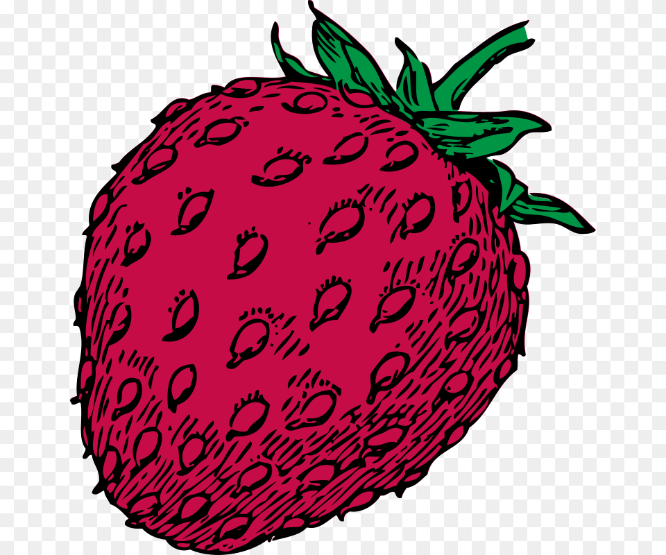 Clipart Strawberry Johnny Automatic, Berry, Food, Fruit, Plant Free Transparent Png