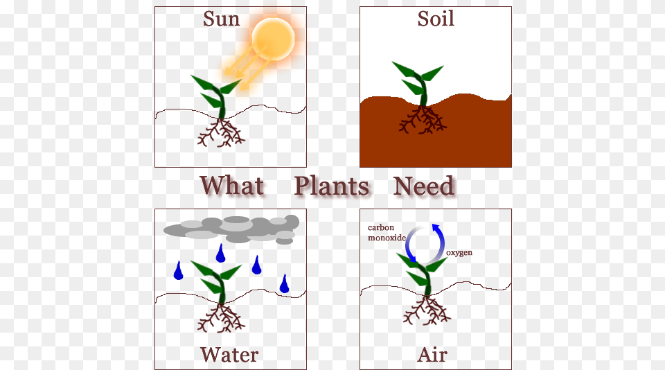 Clipart Sun Soil Air Water Banner Second Grade Leonor Needs Of The Plants, Light, Art, Graphics Free Transparent Png