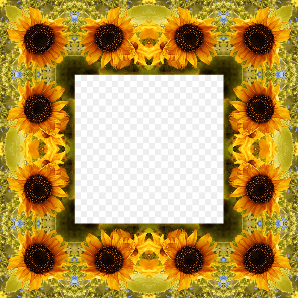 Clipart Sunflower Best Calendar, Flower, Plant Free Transparent Png