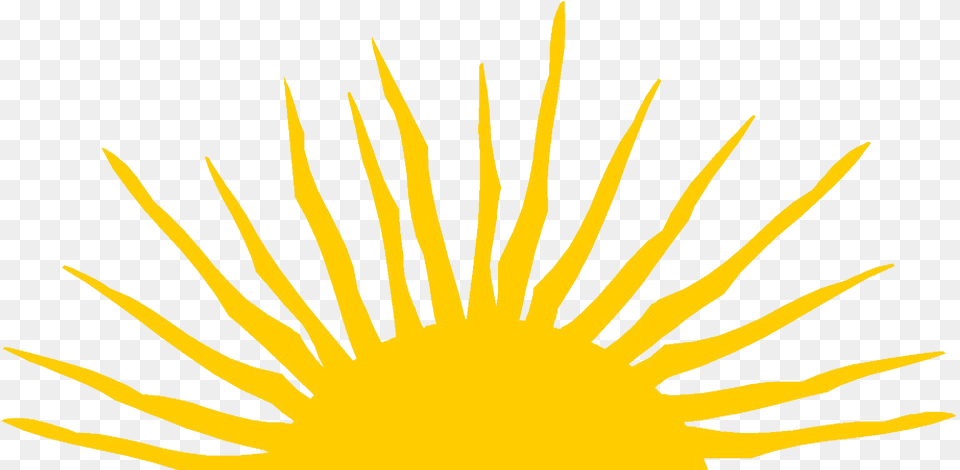 Clipart Sunshine Half Background Half Sun Clipart, Grass, Plant, Pollen, Anther Free Transparent Png
