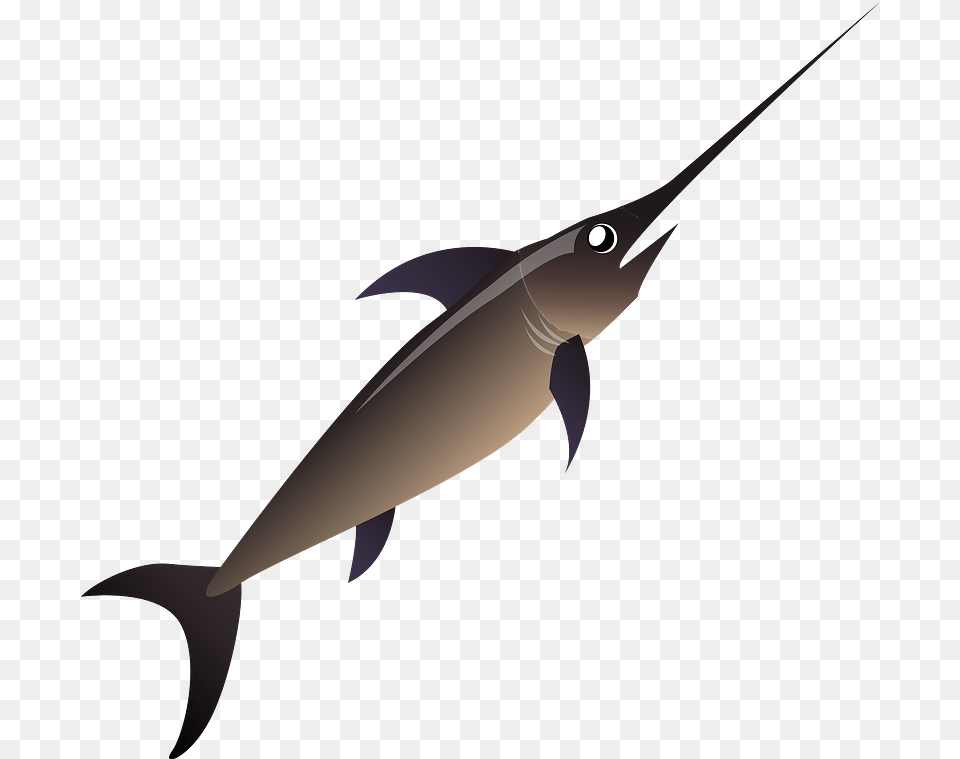 Clipart Swordfish, Animal, Sea Life, Fish Png Image
