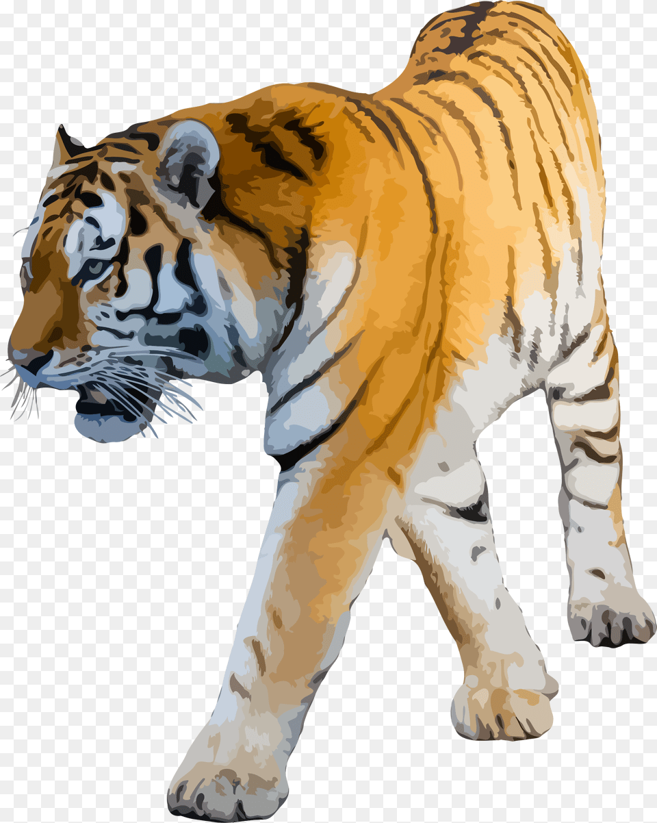 Clipart Tiger Background Image Tiger Hd, Animal, Mammal, Wildlife, Zebra Free Transparent Png