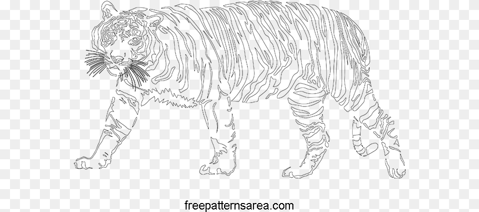 Clipart Tiger Pdf Siberian Tiger, Gray Free Transparent Png