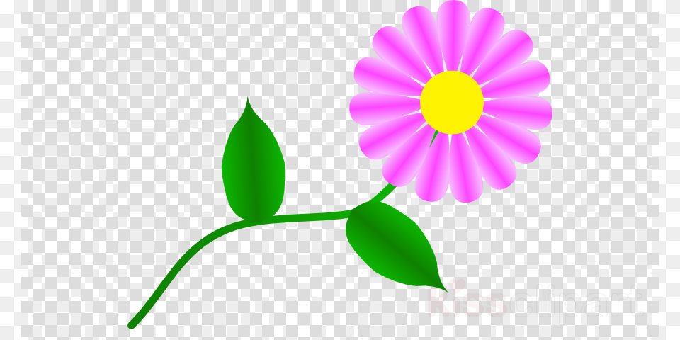Clipart Transparent Background Airplane, Anemone, Daisy, Flower, Plant Free Png Download