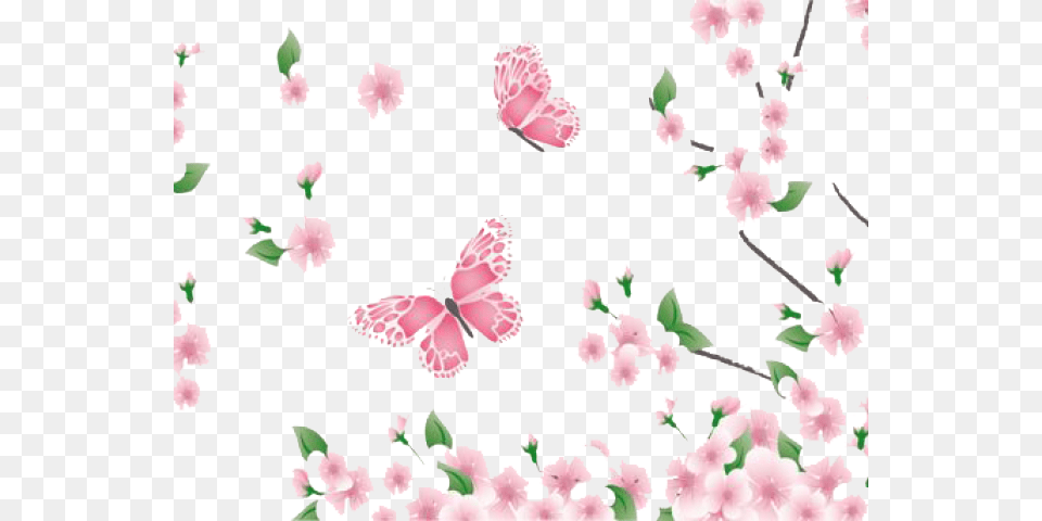 Clipart Transparent Background Flowers, Flower, Plant, Petal Free Png