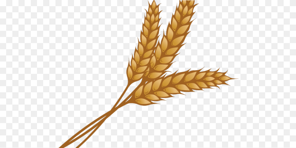 Clipart Transparent Background Wheat Grain, Food, Produce, Person Png