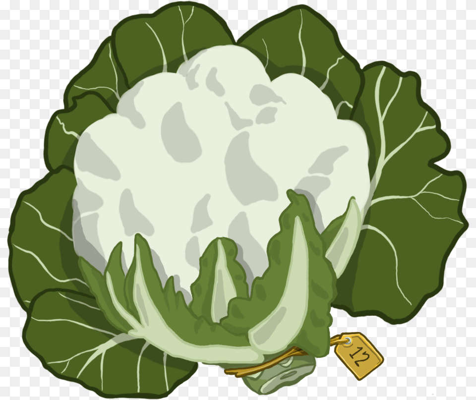 Clipart Transparent Cauliflower, Food, Produce, Plant, Vegetable Free Png