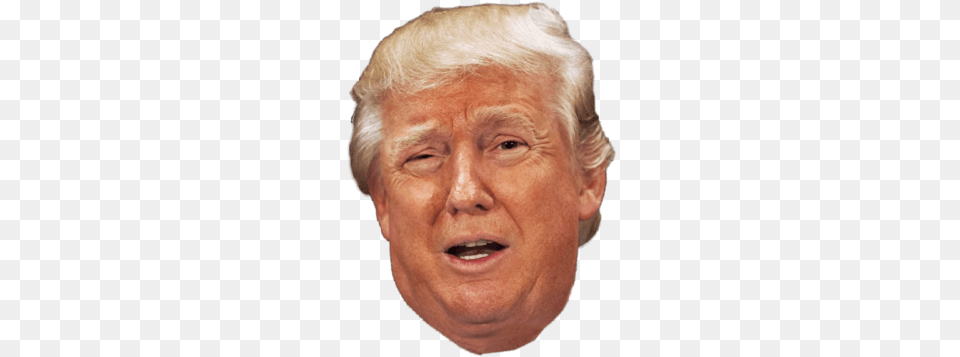 Clipart Transparent Head Wtf Trump Face Transparent Background, Adult, Male, Man, Person Free Png Download