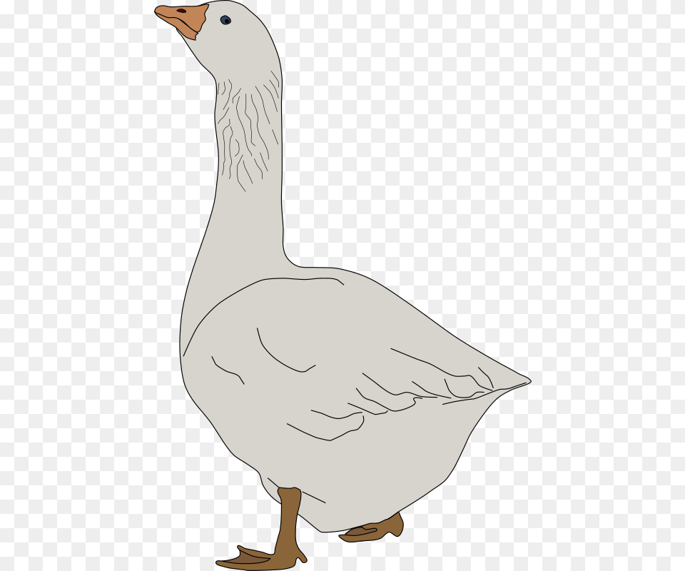 Clipart Transparent Goose Clipart, Animal, Bird, Waterfowl, Person Free Png