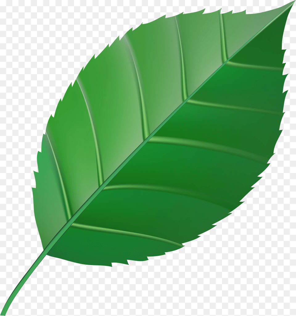 Clipart Transparent Green Leaf Background Free Png