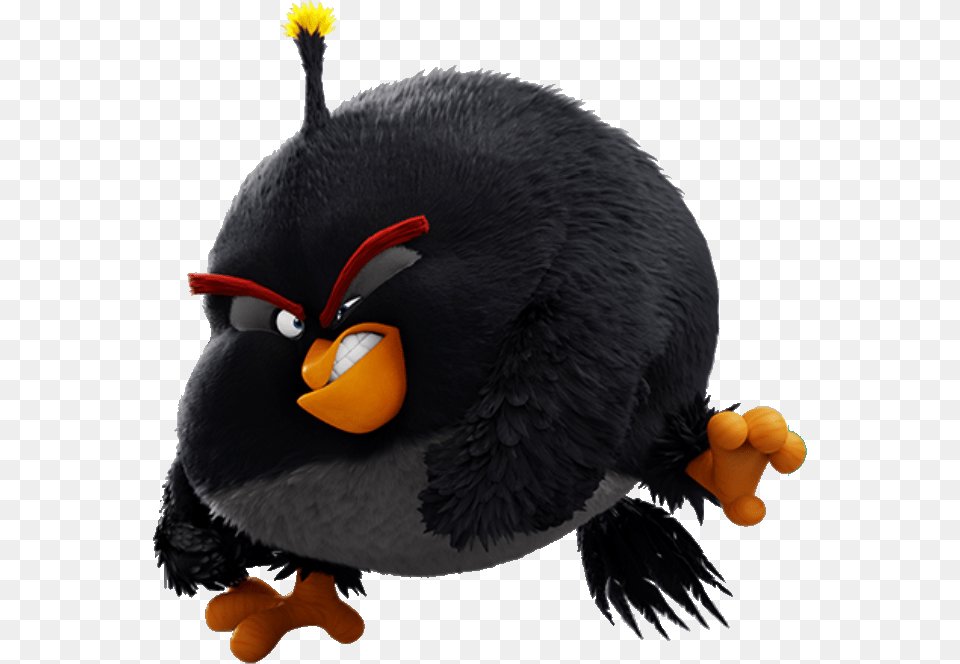 Clipart Transparent Stock Gallery Galleries Angry Birds Movie Age 7 Today 7th Birthday Card, Animal, Bird, Blackbird Free Png