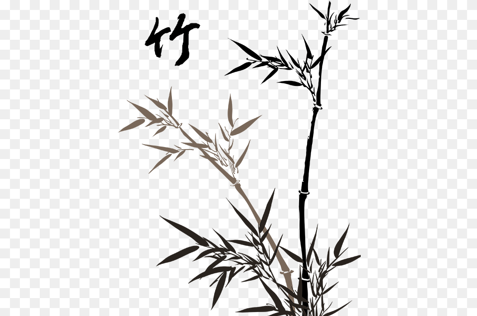 Clipart Transparent Sugarcane Drawing Pencil Bamboo Drawing, Plant, Grass, Acanthaceae, Flower Png Image