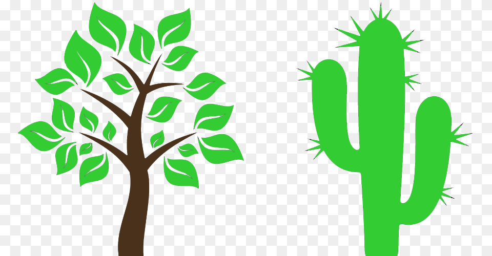 Clipart Tree Cactus Transparent Tree With Leaves Clipart, Green, Plant Free Png