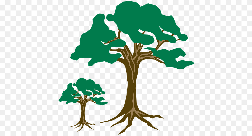 Clipart Tree Green Nature Wood Branch Season, Plant, Art, Painting, Adult Free Png