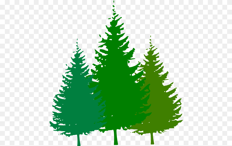 Clipart Trees Forest Pine Tree Black And White, Conifer, Fir, Green, Plant Free Png