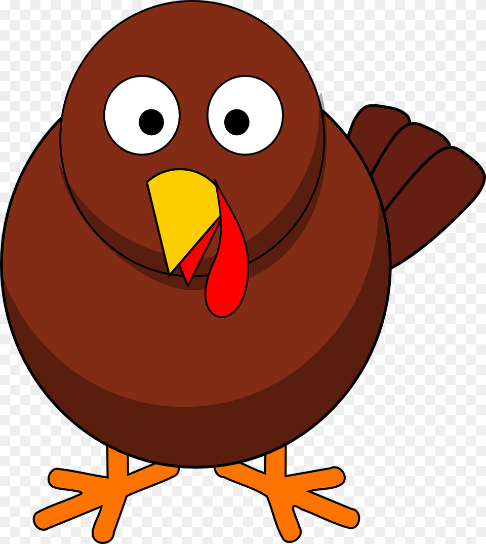Clipart Turkey, Animal, Beak, Bird, Nature Free Transparent Png