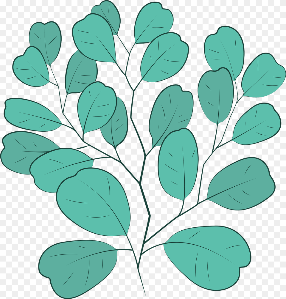 Clipart Twig, Leaf, Plant, Pattern, Art Free Png