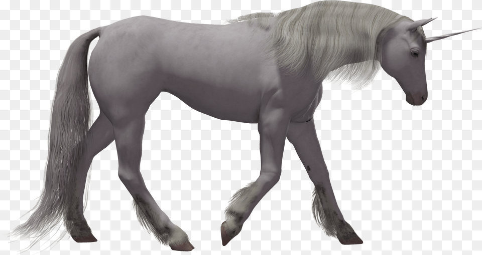 Clipart Unicorn Transparent Background Realistic Magical Unicorn, Animal, Mammal, Horse, Colt Horse Png
