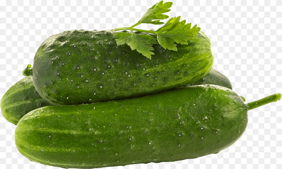 Clipart Vegetables Bottle Gourd Cucumber, Electronics Png Image