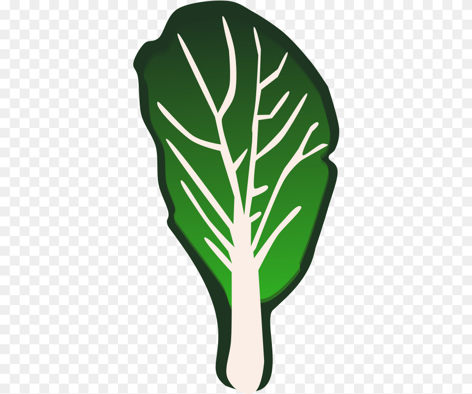 Clipart Vegetables Kale Transparent Turnip Greens Clip Art, Food, Produce, Leafy Green Vegetable, Plant Png Image