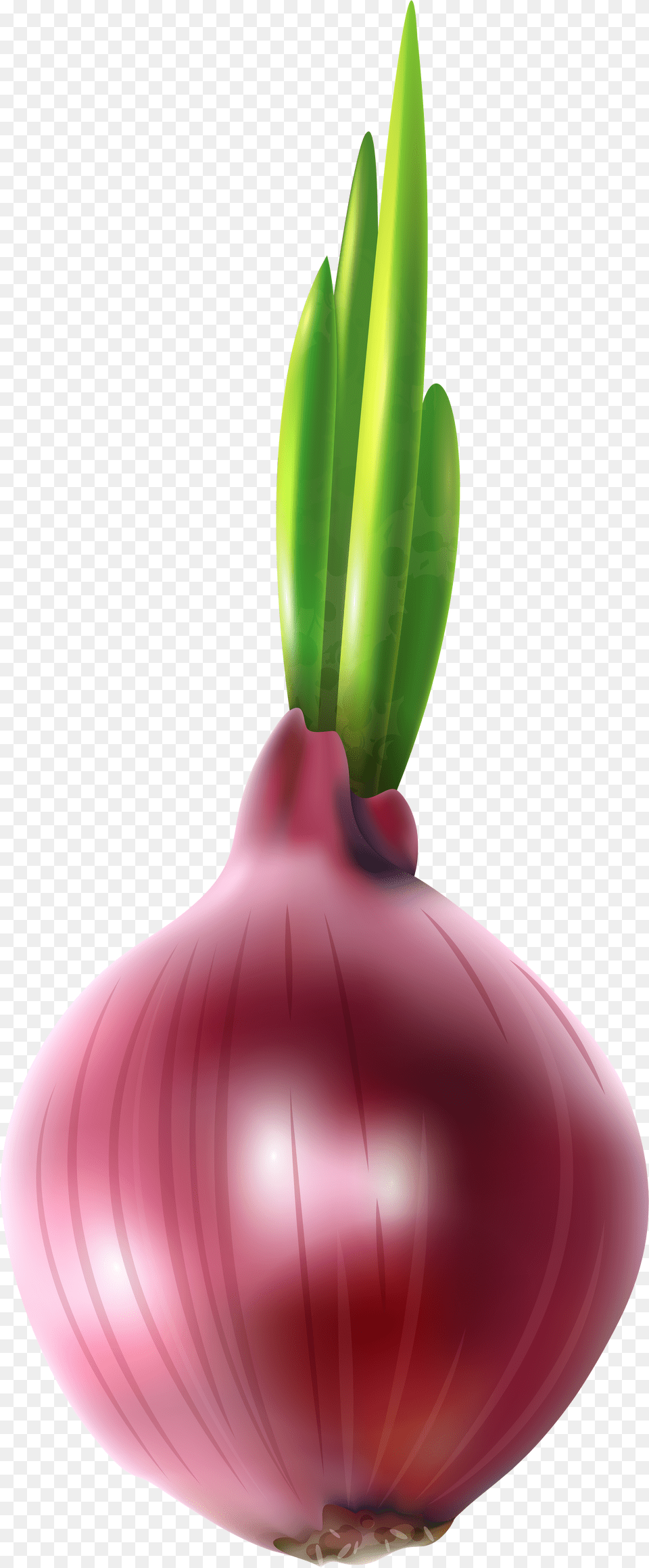 Clipart Vegetables Onion Red Onion Clipart, City, Land, Nature, Outdoors Png