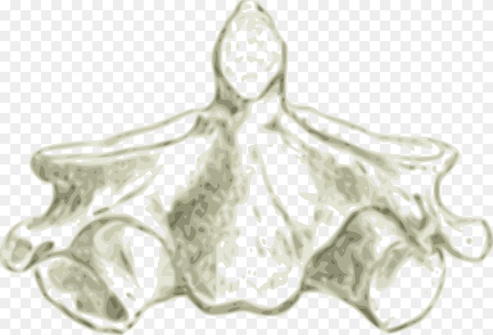 Clipart Vertebrae Hd, Ct Scan, Person Free Png Download