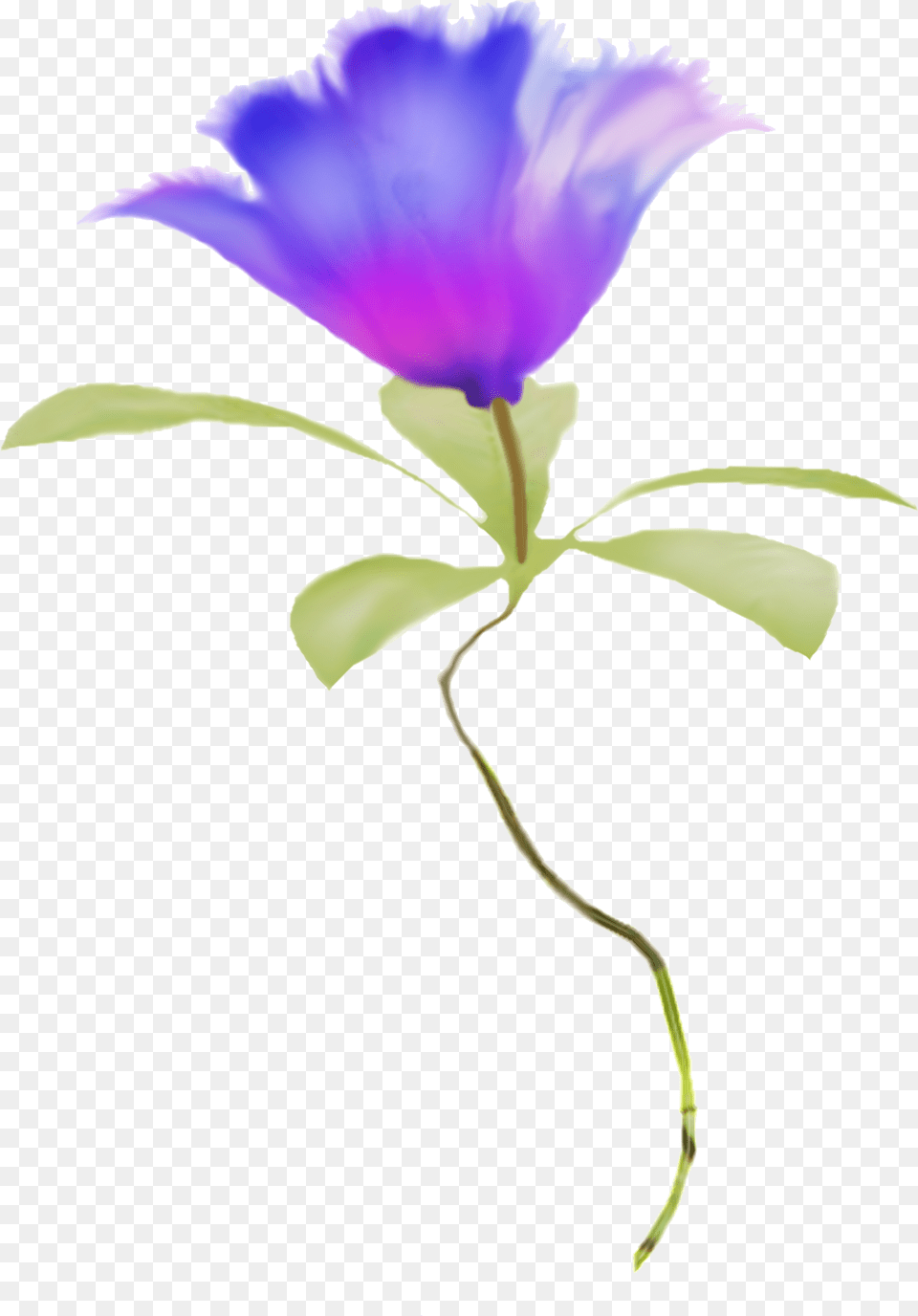 Clipart Watercolor Flowers Blue, Flower, Petal, Plant, Purple Png Image