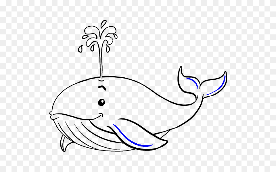 Clipart Whale Cartoon Drawing Clipart Whale Cartoon Drawing How, Animal, Dolphin, Mammal, Sea Life Png Image