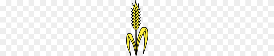 Clipart Wheat Look, Grass, Leaf, Plant, Vegetation Free Transparent Png