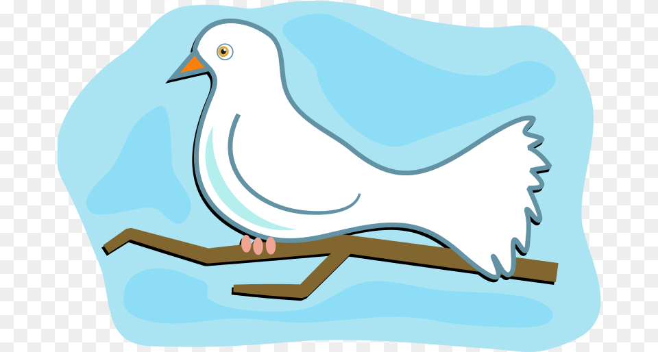 Clipart White Dove Prawny, Animal, Bird, Pigeon, Fish Free Png Download