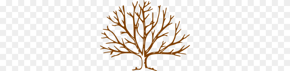 Clipart Wide Tree Clip Art Images, Plant, Leaf, Wood, Person Png