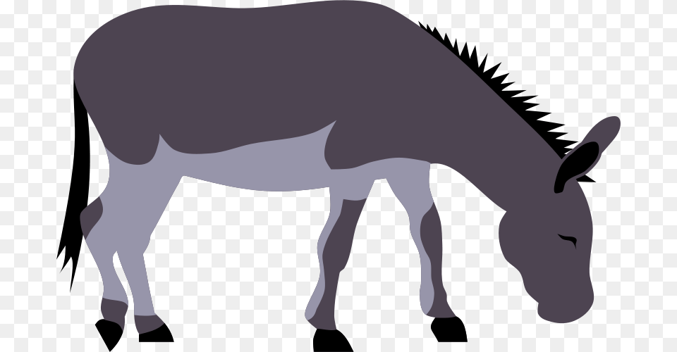 Clipart Wild Donkey, Animal, Mammal, Baby, Person Free Png Download