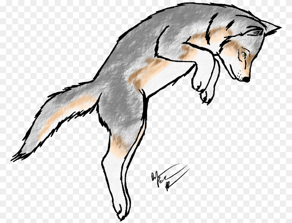 Clipart Wolf Pup, Animal, Mammal, Fox, Wildlife Png Image