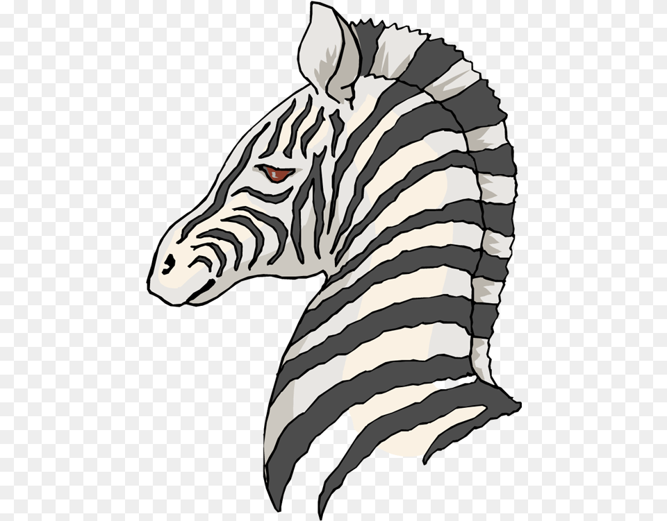 Clipart Zebra Clipart Background Background Cartoon Zebra, Baby, Person, Animal, Mammal Free Transparent Png