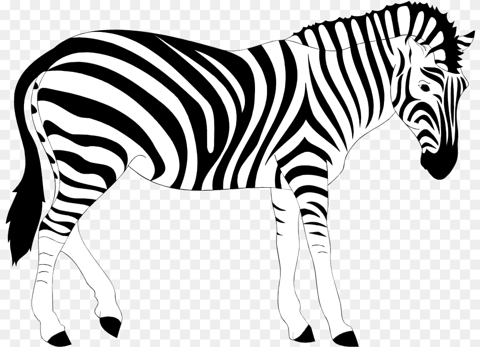 Clipart Zebra Real Clip Art Zebra, Animal, Mammal, Wildlife Free Transparent Png