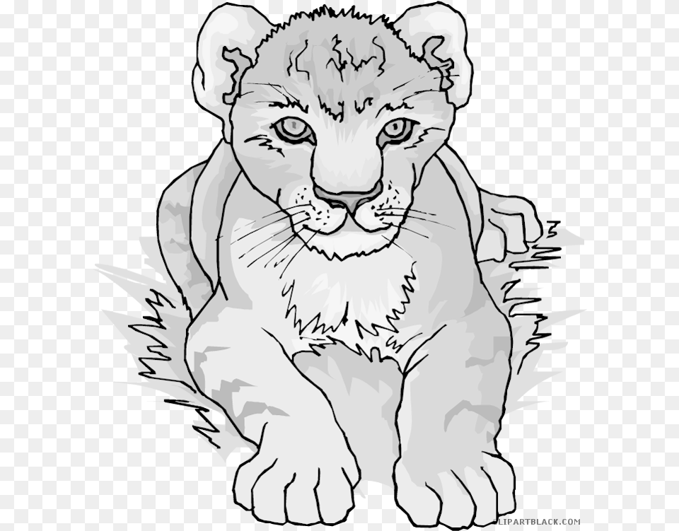 Clipartblack Com Animal Black White Images Lion Cub Clipart Black And White, Art, Drawing, Baby, Person Free Transparent Png