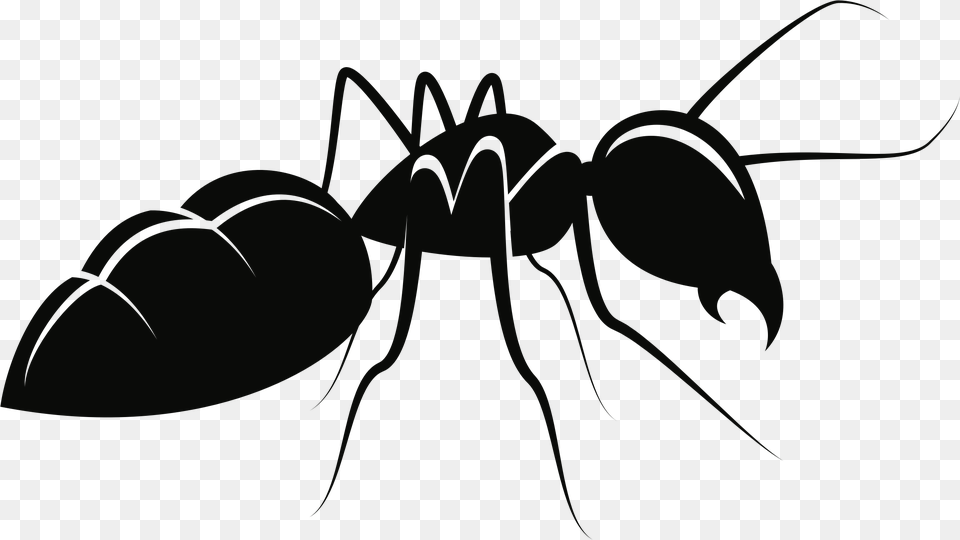 Cliparti Clip Art Of Movieplus Me, Animal, Ant, Insect, Invertebrate Png Image