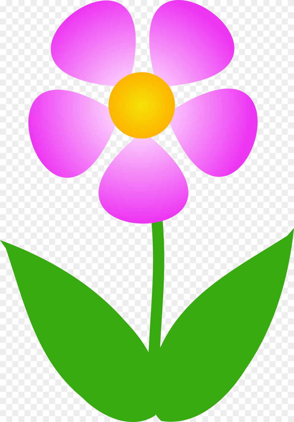 Clipartix, Anemone, Daisy, Flower, Petal Free Png Download