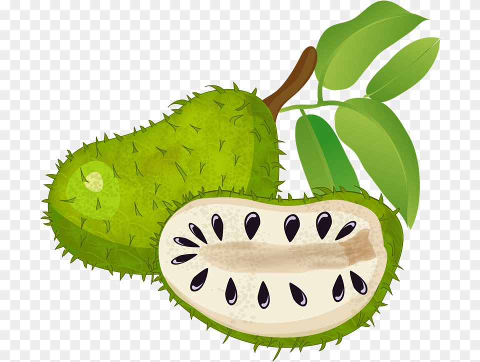 Clipartlord Com Exclusive Soursop Is A Tropical Fruit Soursop Clipart, Food, Plant, Produce, Annonaceae Free Transparent Png