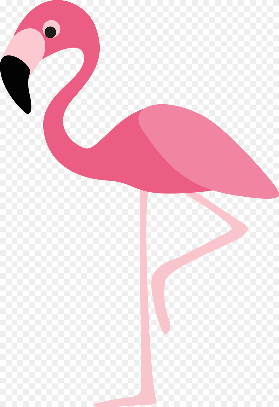Clipartly Flamingo Cartoon Royalty Clip Art Flamingo Flamingo Cartoon, Animal, Bird, Fish, Sea Life Free Png Download