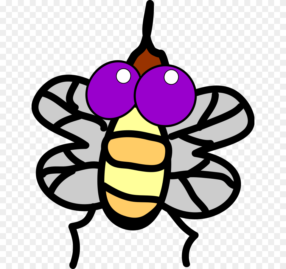 Cliparts Flies, Animal, Bee, Insect, Invertebrate Png Image