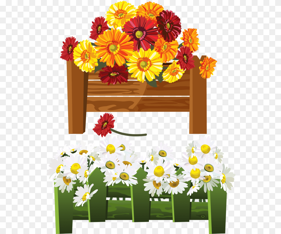 Cliparts Flowers Flower Clipart And Flower Art, Plant, Daisy, Petal, Flower Bouquet Free Png Download