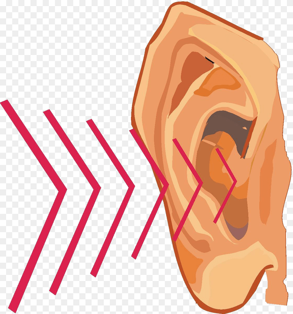 Cliparts Hearing Sound, Body Part, Ear, Person Free Transparent Png