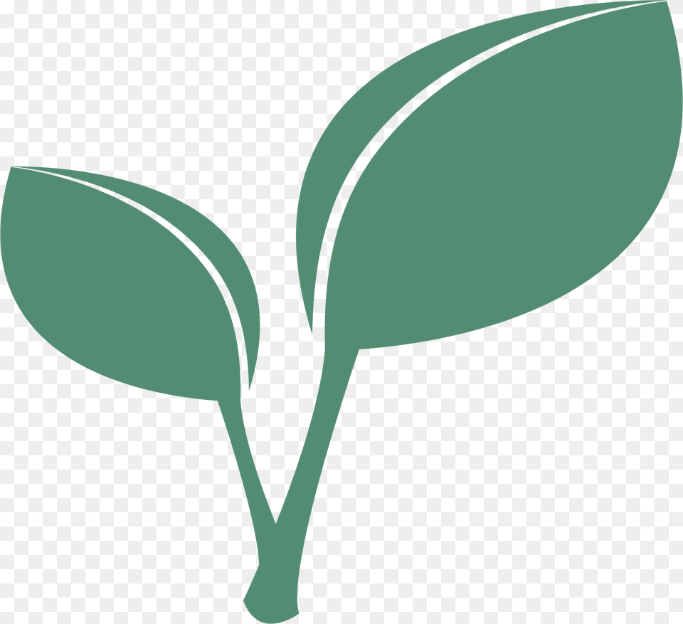 Cliparts Making The Web Apple Leaf With Stem Clipart, Herbal, Herbs, Plant, Sprout Png Image