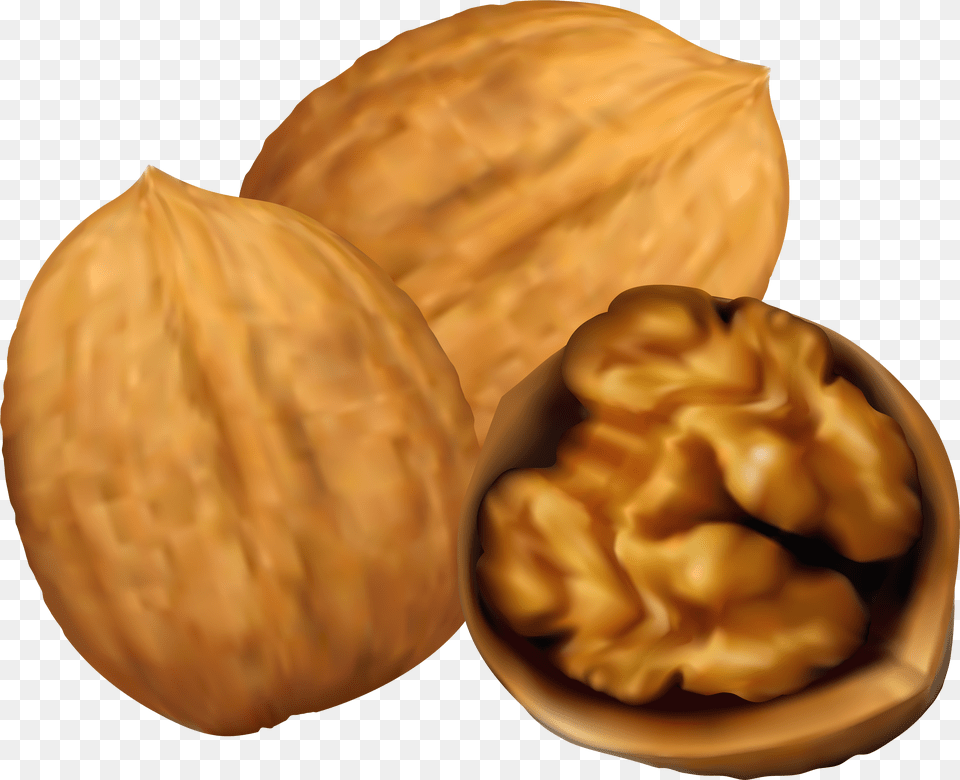 Cliparts No Nuts Walnut Clipart Free Png