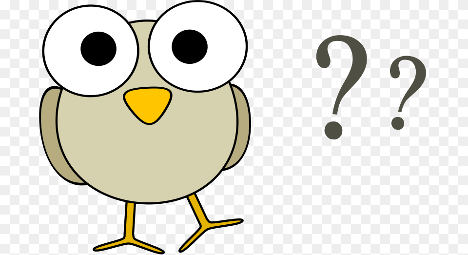 Cliparts Question, Animal, Beak, Bird Free Png