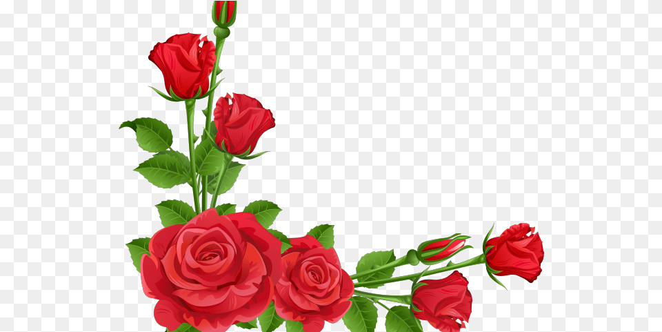Cliparts Real Flowers Flower Borders Design, Plant, Rose, Flower Arrangement Free Png Download