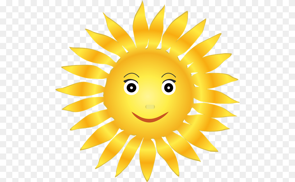 Cliparts Smiling Sun, Flower, Plant, Sunflower, Baby Png Image