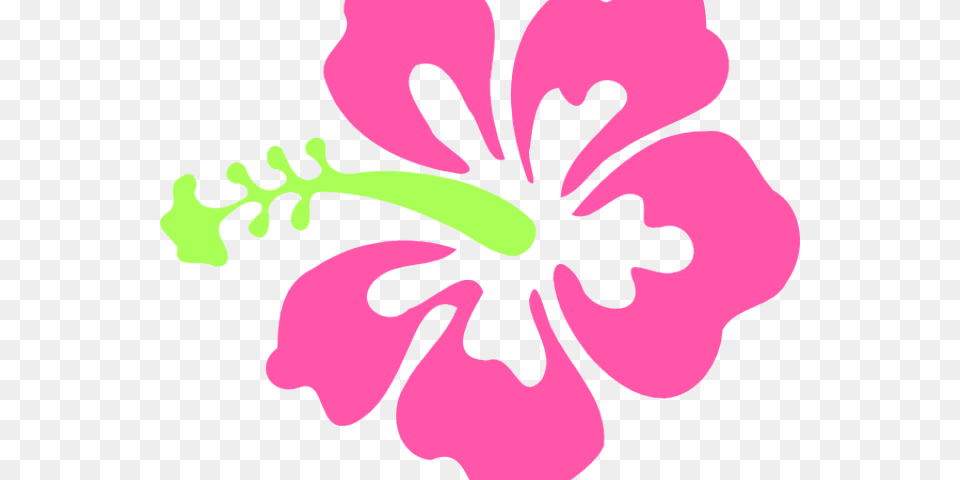 Cliparts Stargazer Lilly Clipart Hibiscus Flower, Plant, Person Free Transparent Png