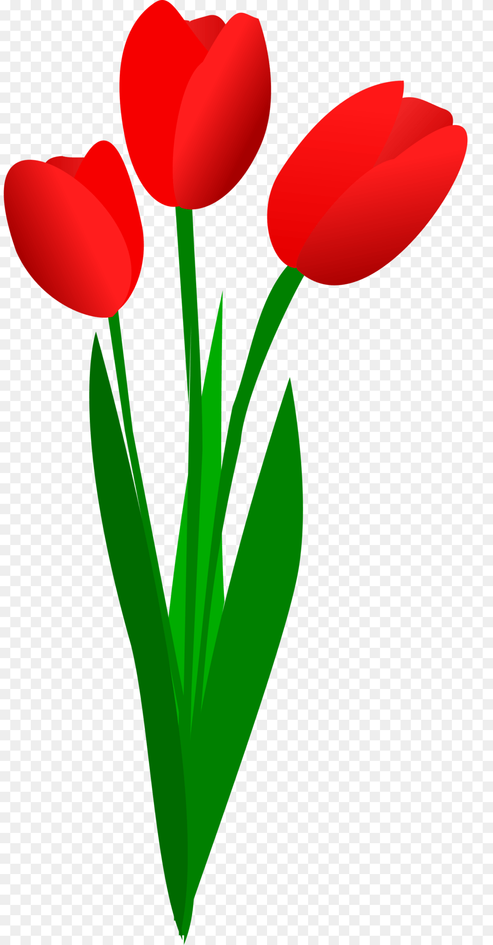 Cliparts Tulip Bouquet, Flower, Plant, Petal Free Transparent Png